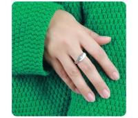 Plain Shape with Blink CZ Stone Silver Ring NSR-4041